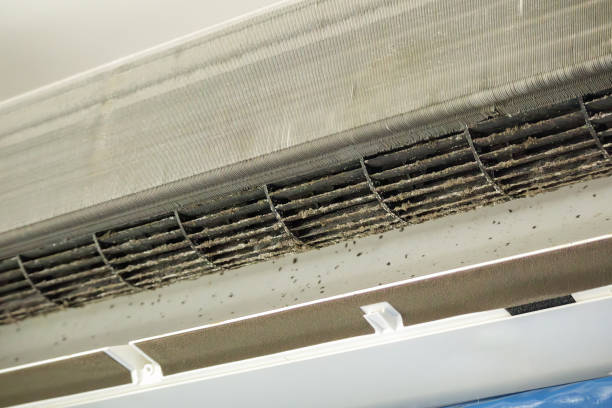 Best Professional Duct Cleaning Services  in Richmond, KY